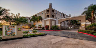 Windsor Main Place Gallery 2