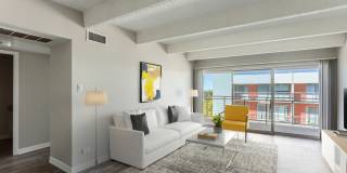 The Paramount Gallery 3