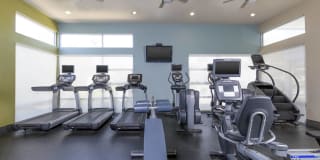 CitySouth Gallery 26