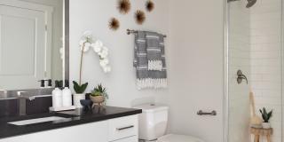 The Cannon Gallery 10