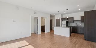 Elements on Third Gallery 17