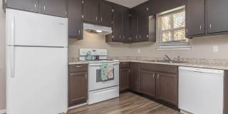 Hidden Pines Gallery 1