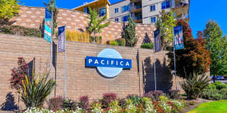 The Pacifica Gallery 40