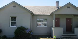 petj442 Gallery 1