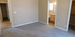 GORGEOUS SINGLE STORY WITH MANY UPGRADES*3 BEDROOMS*SPARKLING POOL AND SPA! Gallery 16
