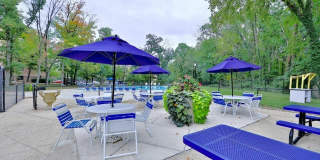 Flora Park Gallery 21