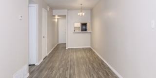 Ayla at Castle Hills Gallery 42