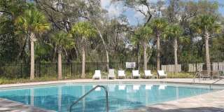 Like new spacious Townhome in Wesley Chapel! 3bedrooms/2.5 bathrooms/2 car garage Gallery 1