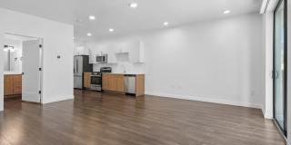 The Olive The Olive Gallery 26