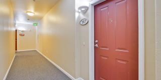 Excellent 2 Bed 2 Bath Condo - Completely Remodeled! Gallery 3
