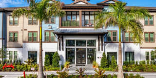 Arabelle Clearwater Gallery 4