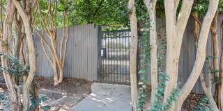 Virginia Highlands Gallery 23