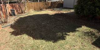 PRE LEASING for Fall 2026! 5 bedroom 3 bath Home! Gallery 1