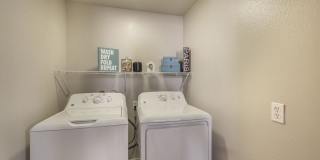 The Tradition Gallery 36