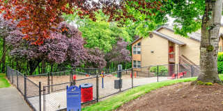 Haven Lake Oswego Gallery 12