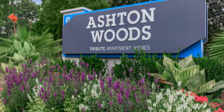 Ashton Woods Gallery 24