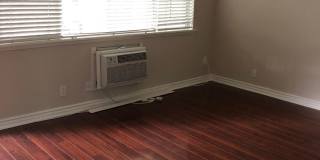 Rye 13506 Gallery 1