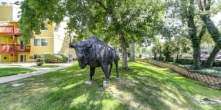 Buffalo Canyon Gallery 36