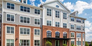 Avalon Wharton Gallery 19