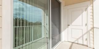 RIZE at Winter Springs Gallery 119