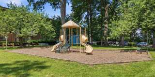 Glenmont Forest Gallery 54