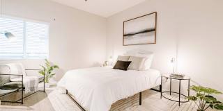 1643 6th Ave Gallery 7