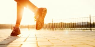 Avana Evergreen Gallery 61