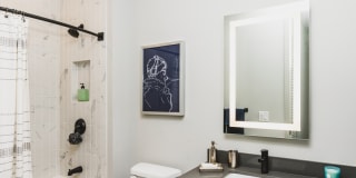 Prominence Gallery 4