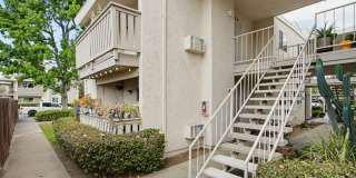 Mountain Springs Gallery 1