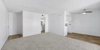 Madera at Metro Gallery 22