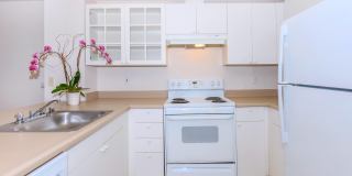 Clearwater and Star Apartments Gallery 1