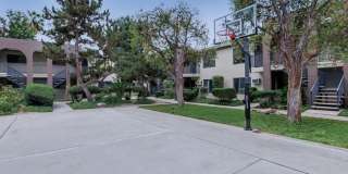 Vio Cerritos Gallery 12
