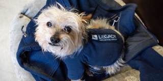 Legacy Lakeside Gallery 22