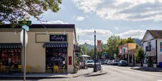 The Zimmer Gallery 37