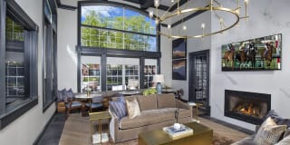 Lake Clearwater Gallery 10