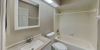315 Springfield Court Gallery 19
