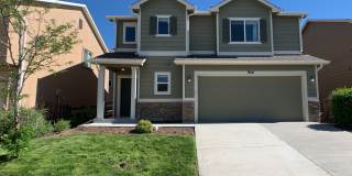 954 Diamond Rim Dr Gallery 1