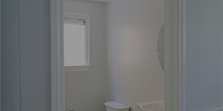 132 Island Coral Gallery 16