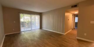 415 Orchard Trace Lane Gallery 4