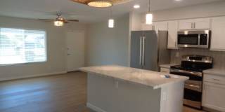 Gorgeous 3 bedroom house in Mesa! Totally renovated and ready to move in! Available NOW! Gallery 7
