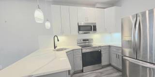 Malcolm X Park 3bd/3bth Bi-Level Gallery 4