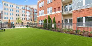 The Point at Fairfax Gallery 8