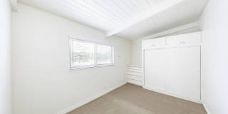 Olive 108 Gallery 10