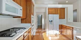 1732 Bamboo Street Gallery 6