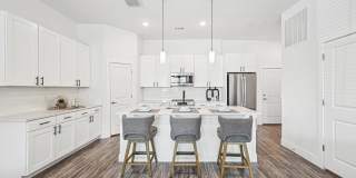 Cadia Sherman Gallery 5