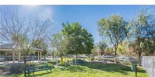 4501 Mollison Mesa Court Gallery 9