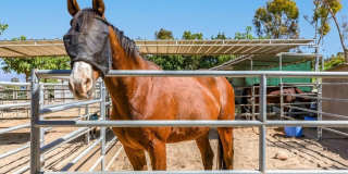 3338 Punta Alta Gallery 34