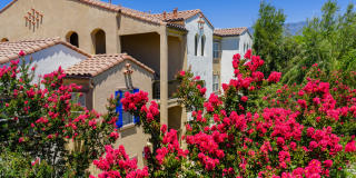 Rancho Monte Vista Luxury Apartment Homes Gallery 49