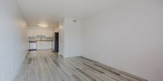 Escarlata 31 Gallery 2
