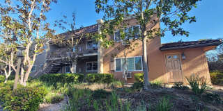 13687 Paseo Cardiel unit: 19 Gallery 1